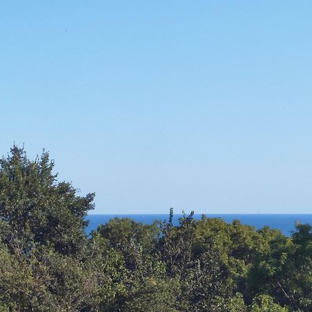 Villa Metatron U Doma Baltsjik Buitenkant foto