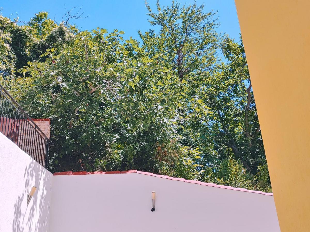 Villa Metatron U Doma Baltsjik Buitenkant foto